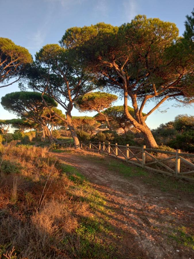 Paradise On The Beach Albufeira Luaran gambar